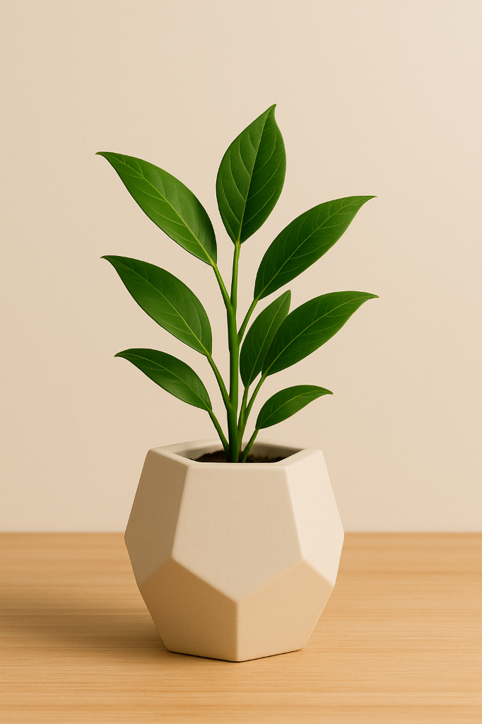 Minimalist plant container